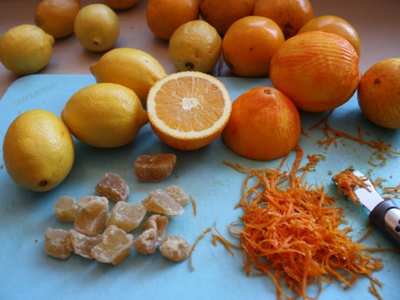 Lemons and oranges and ginger