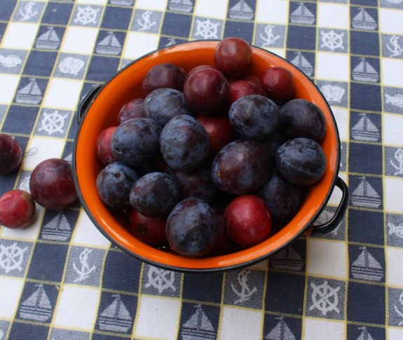 Prune Plums and Red Plums